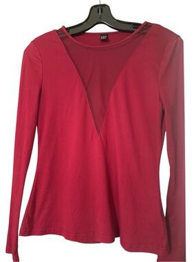 Burgundy Mesh Deep V Long Sleeve Top